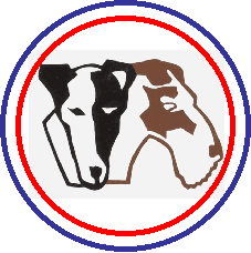 CLUB FRANCES DE FOX TERRIER
