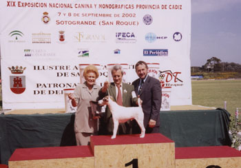 Mrs.Pamela Cross(left)Paco(center)&Mr.Delmar(right) with Otto
