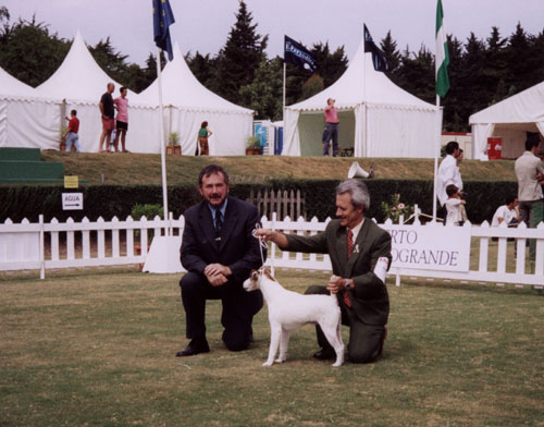 Mr.Delmar(left)Otto &Paco(right)