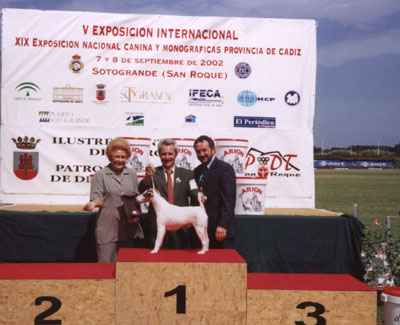 Mrs.Pamela Cross Stern,Paco, Mr.Sean Delmar y OTTO